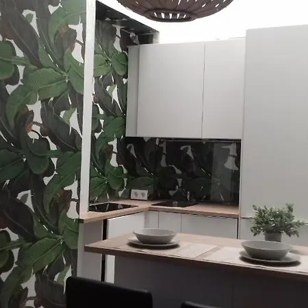 Charming Luminous Flat In The Center Of Apartmán